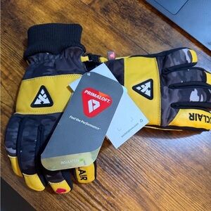 Auclair Insulated Ski Gloves